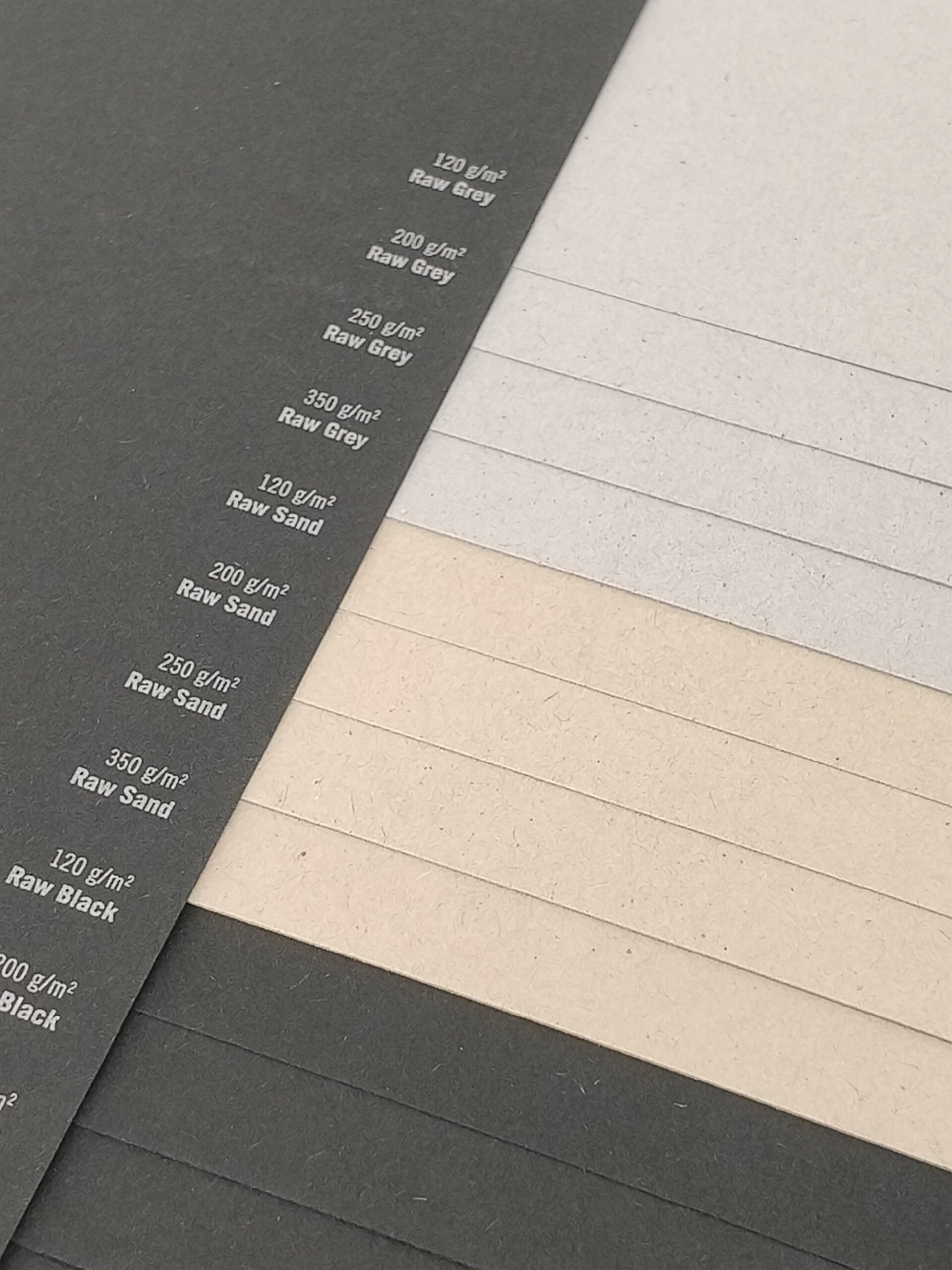 Papel Shiro Echo 1